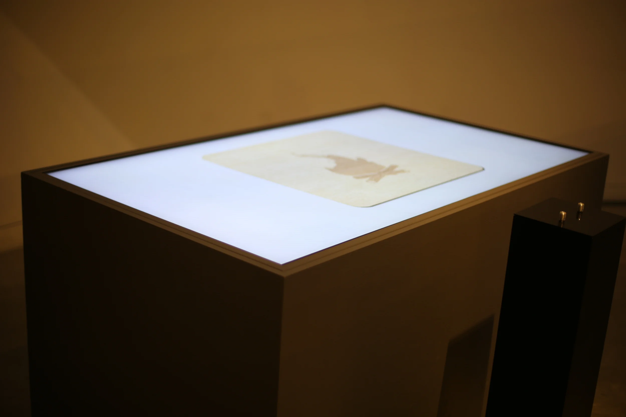 The illustrated parchment on the table seen from the left.