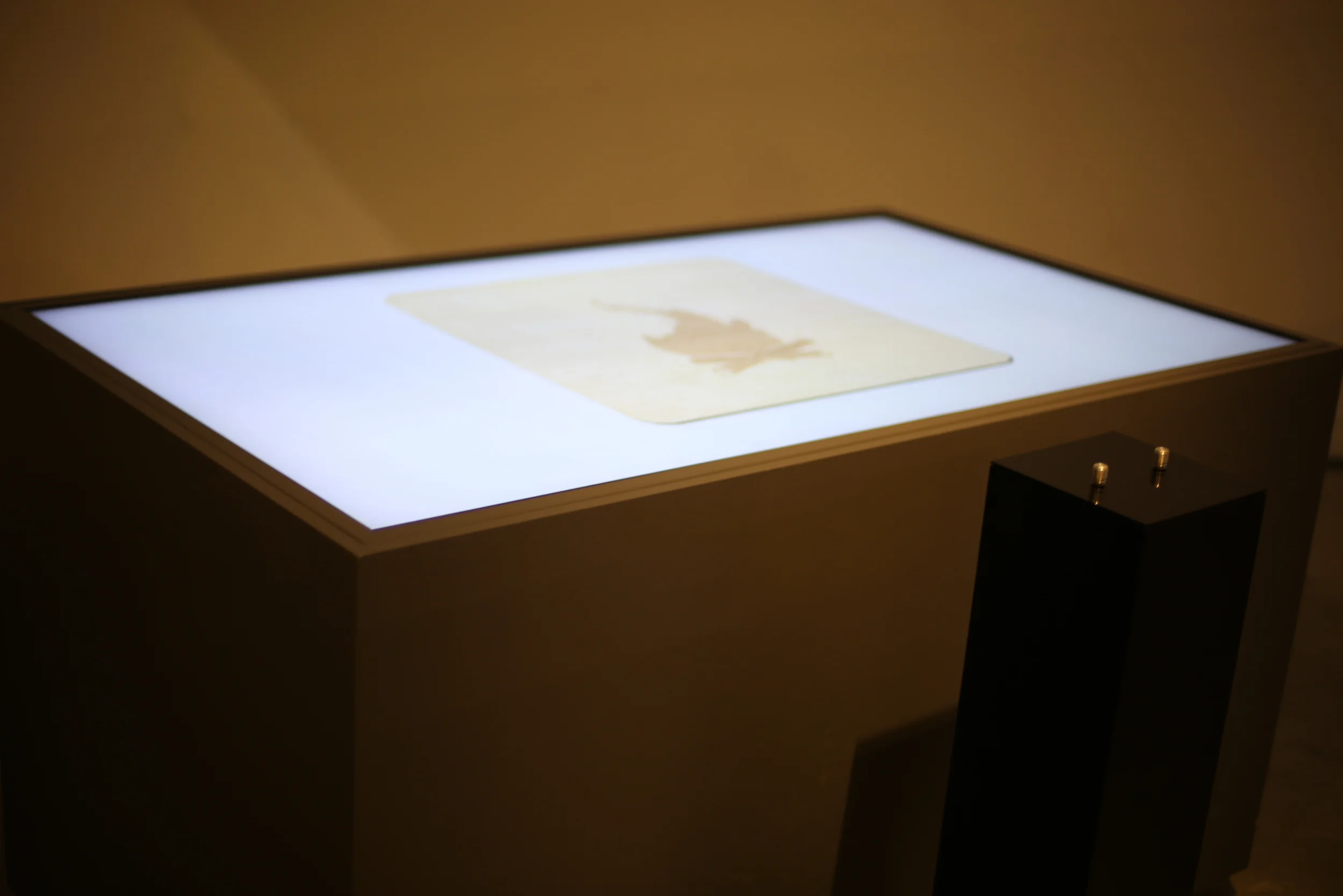The tabletop illustration and the two controls on the pedestal.